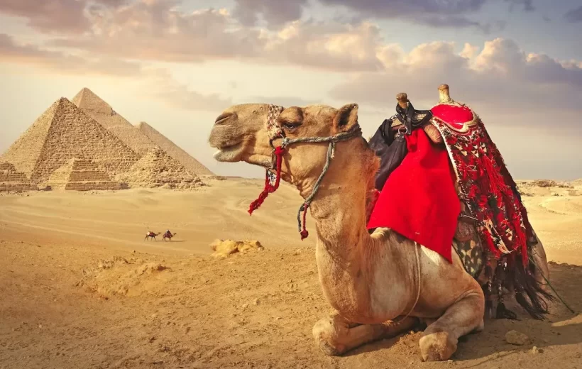 Full day tour to Cairo from Aswan by flight - ADT001