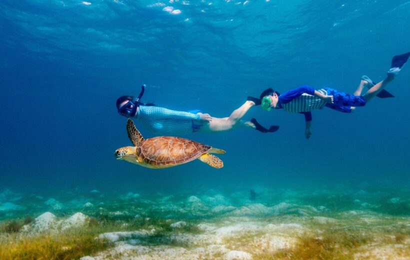 Snorkeling Trip & Excursion from Safaga Port - SPSE004