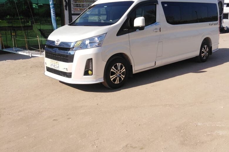 Aswan Airport Transfer private departure