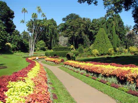 Private day tour to The Botanic Gardens and Botanical Museum - ADT013